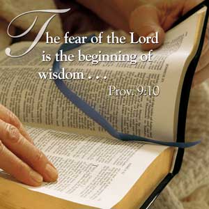 the fear of the Lord is the
                            beginning of wisdom