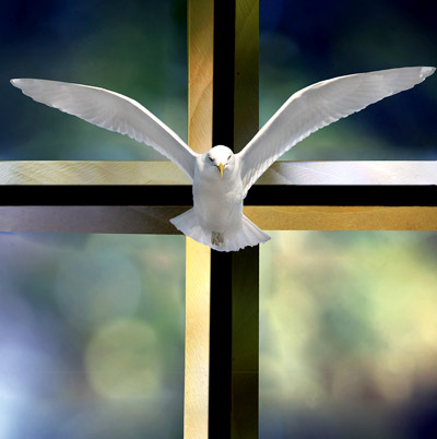 Holy Spirit and Cross of Christ