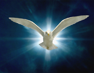 The Holy
                  Spirit