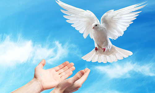 receive the Holy Spirit