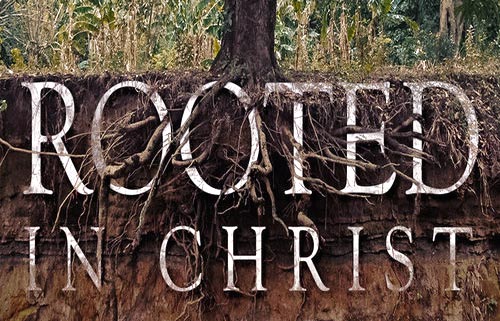 rooted
                              in Christ