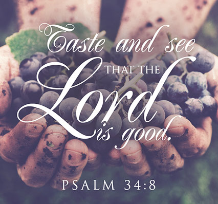 taste and see the Lord is good