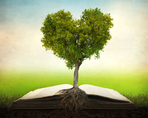tree rooted in the bible