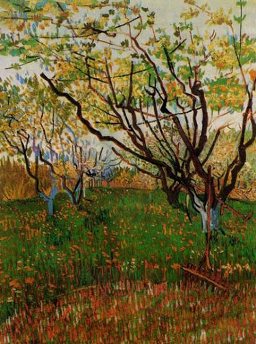 Orchard by Vincent Van Gogh