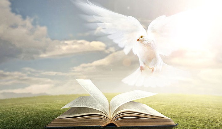 Holy Spirit and Bible