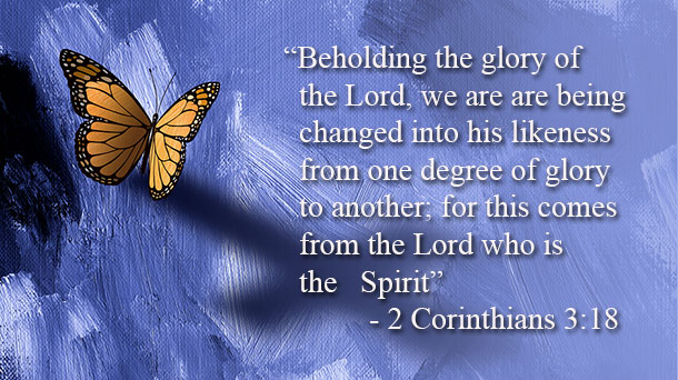 caterpillar - changed into the Lord's likeness