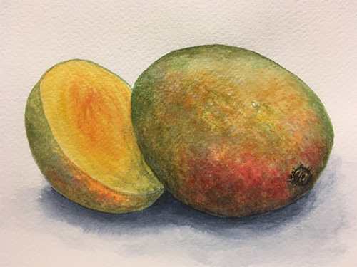 Mangoes,
                              watercolor by Ros Yates